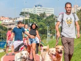 Itapevi celebra aniversário com 1ª Feira Socioambiental e 6ª Cãominhada