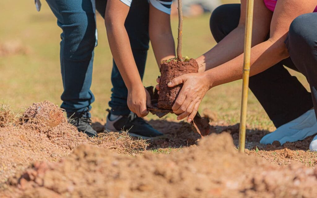 Itapevi celebra aniversário com 1ª Feira Socioambiental e 6ª Cãominhada
