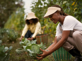 produtores-rurais-cotia-2025