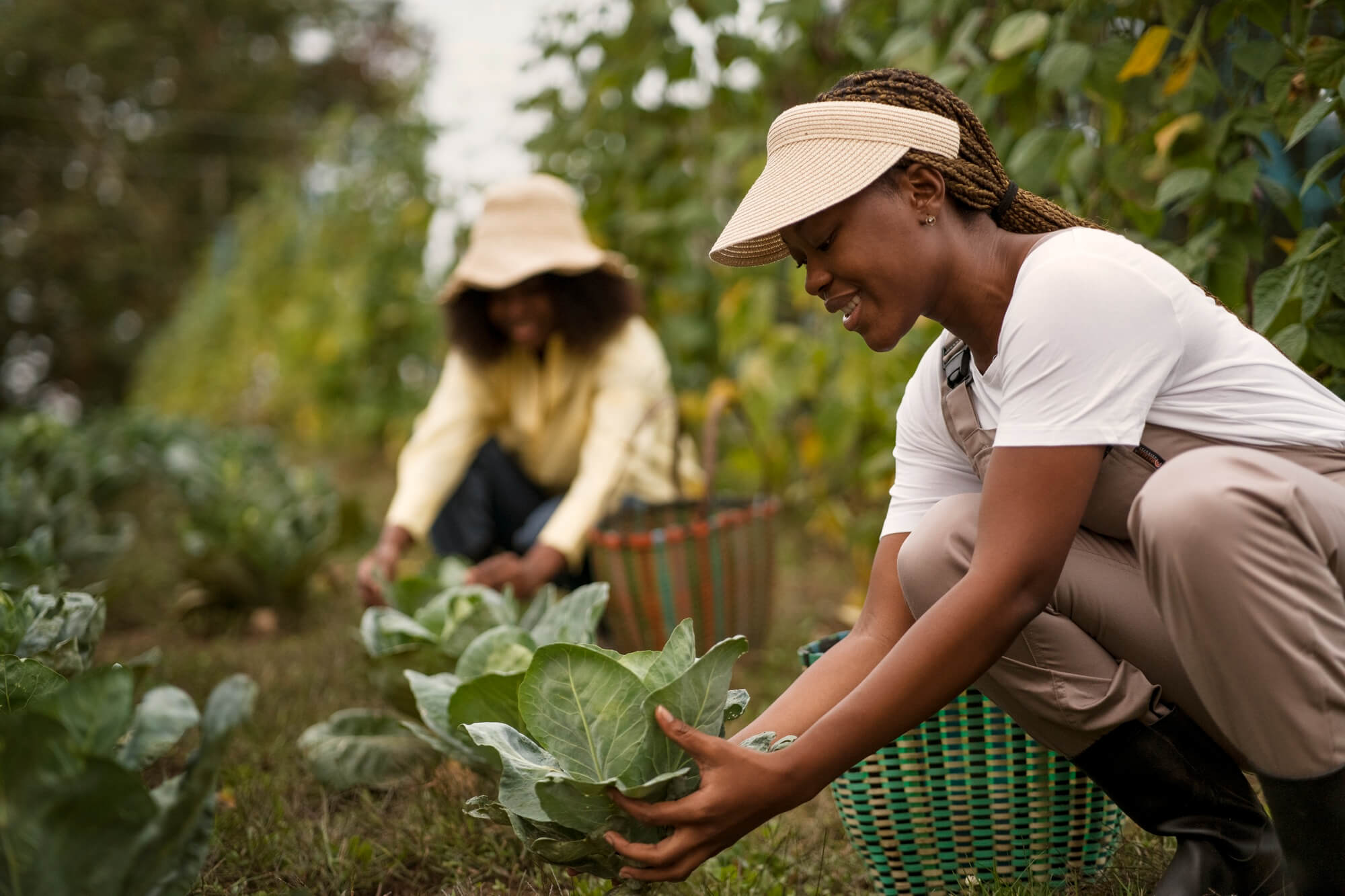 Produtores Rurais em Ação em Cotia 2025 produtores-rurais-cotia-2025
